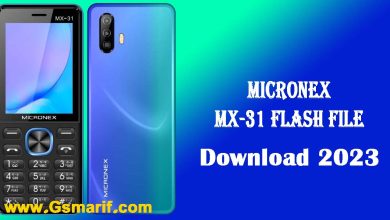 MICRONEX MX-31 Flash File Download 2023